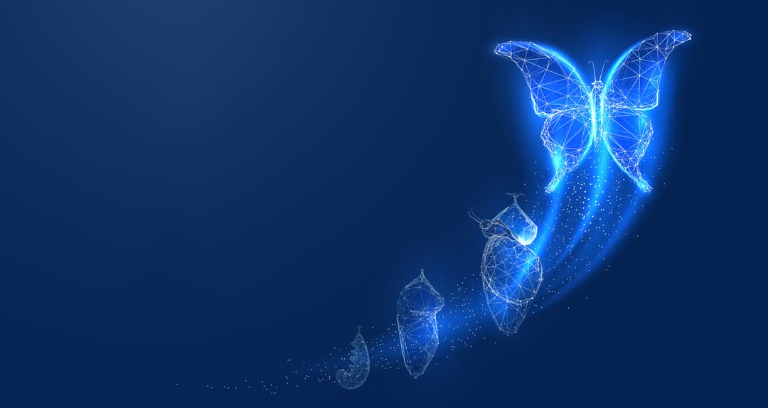 Transformation Thumbnail